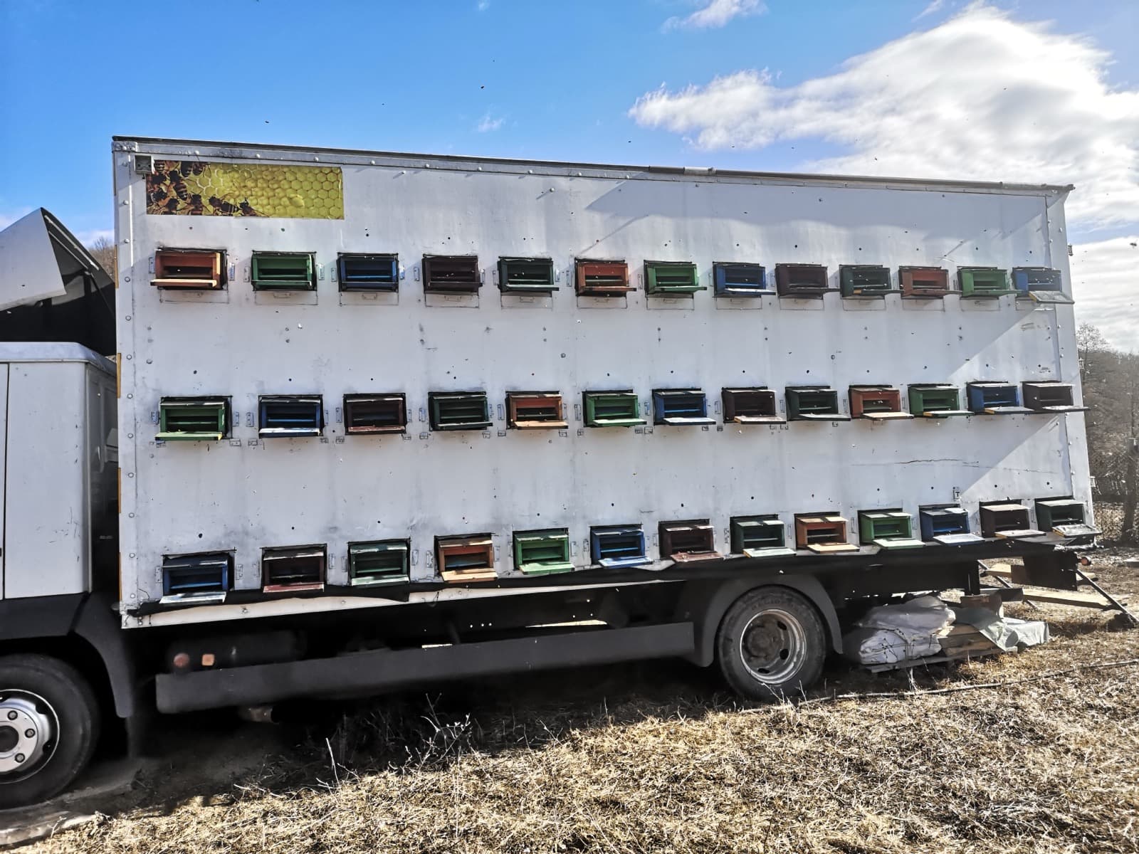 Camion încărcat cu stupii coloraţi ai stupinei Fagurul de Aur, pregătit pentru transport în pastoral